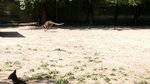 DSC_0594.JPG