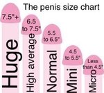 PSizeChart.jpg