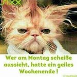 Diana Kas. 20160407_200130.jpg Diana Kas. 20160407_200130.jpg