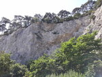 20200713_130357.jpg