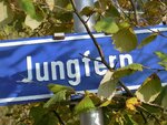 DSCN7415.JPG