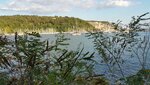IMG-20160926-WA0050.jpg