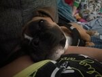 IMG_20200806_090647.jpg
