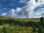 IMG_20200816_102636.jpg