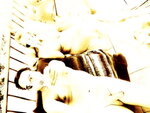 77204285-FF21-4EBF-A642-6E5B644AEF61.jpeg