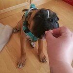 IMG_20200826_170853.jpg IMG_20200826_170853.jpg