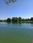 IMG_20200905_104754.jpg