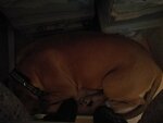 IMG_20200930_104216.jpg