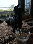 IMG_20201101_073503.jpg