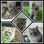 81DC0453-BE16-495C-9626-B5CB2063A303.jpeg 81DC0453-BE16-495C-9626-B5CB2063A303.jpeg