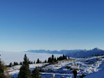 IMG_20201119_140703.jpg