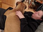IMG_20201123_215103.jpg
