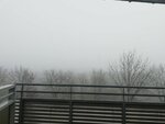 IMG_20201124_091801.jpg