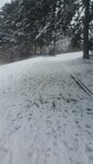 20180221_112104.jpg