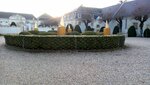 DSC_1315.JPG