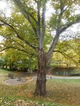DSCN8717.JPG DSCN8717.JPG
