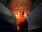 $www.Lady-Katarina.at_Klinik80.jpg