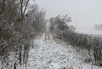 DSC_5650.jpg