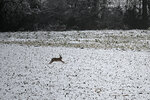 DSC_5666.jpg