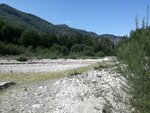IMG_20200806_111918.jpg