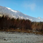 20210221_114318.jpg