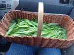 IMG_20210313_093629.jpg