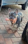 FB_IMG_1615660817608.jpg