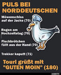 Moin - 0.jpg