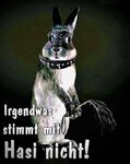FB_IMG_1617555158303[59342].jpg