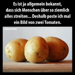 3331054-1c593e28cb0ef2vkbo.jpg
