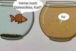 FB_IMG_1615997341552.jpg