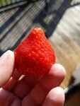 IMG_20210410_164932.jpg