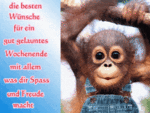 wochenende-067.gif