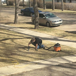 1619251168335.png