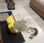 1619941137192.png