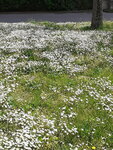 20210516_105852.jpg