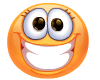 smilie-gross_290.gif