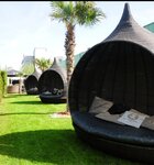 IMG_20210604_145719.jpg IMG_20210604_145719.jpg