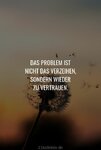 acb31a8747541c97a754685802bef541.jpg