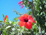 DSCN1223.JPG