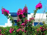 DSCN1256.JPG
