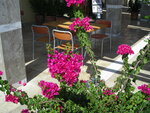 DSCN2679.JPG