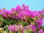 DSCN2685.JPG