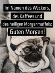 guten-morgen-spruch5.png