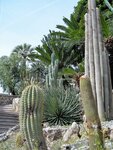 DSCN4220.JPG
