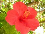 DSCN4850.JPG