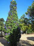 DSCN5001.JPG DSCN5001.JPG