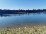 IMG_20210710_174205.jpg