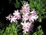 DSCN5015.JPG