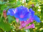 DSCN5028.JPG